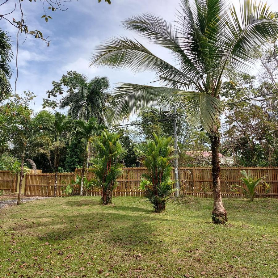 Casa Oceana Bed & Breakfast Bocas Town Luaran gambar
