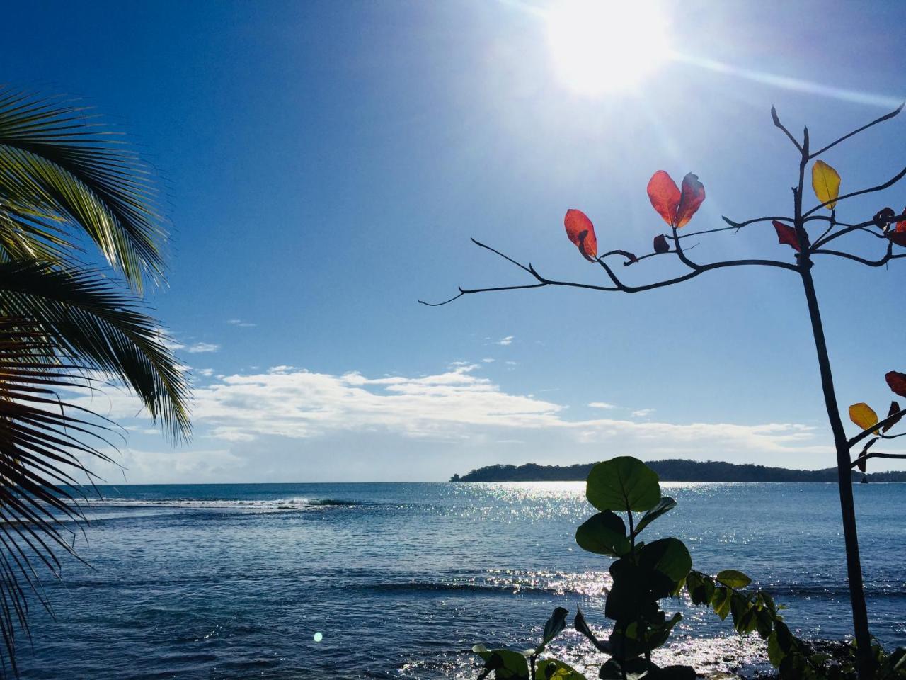 Casa Oceana Bed & Breakfast Bocas Town Luaran gambar
