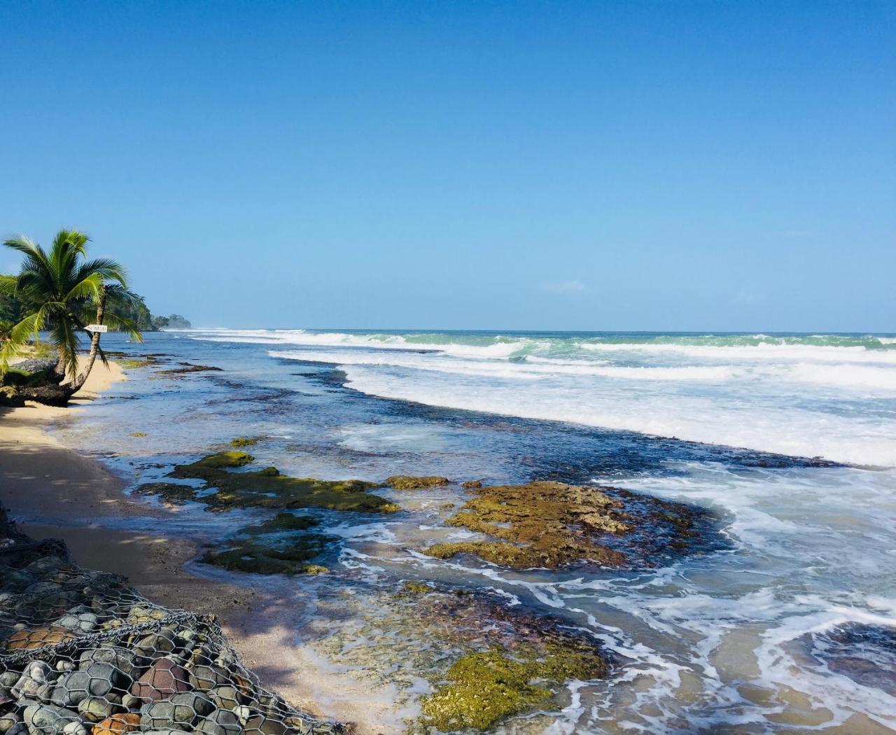 Casa Oceana Bed & Breakfast Bocas Town Luaran gambar