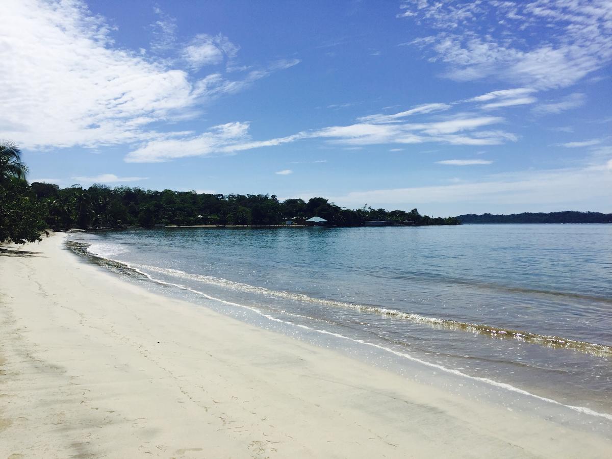 Casa Oceana Bed & Breakfast Bocas Town Luaran gambar
